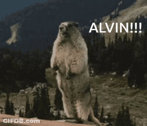 Groundhog Standing On Hind Legs Saying Alvin GIF