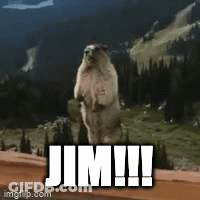 Groundhog Standing On Hind Legs Saying Jim GIF