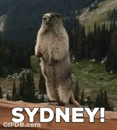 Groundhog Standing On Hind Legs Sydney GIF