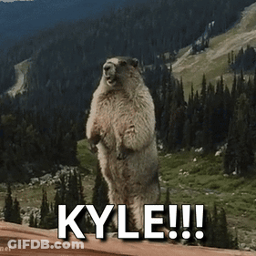 Groundhog Standing On Hind Legs With Kyle GIF