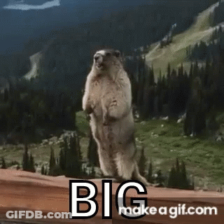 Groundhog Standing On Wooden Railing In Front Of Mountain GIF