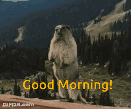 Groundhog Standing Saying Good Morning GIF