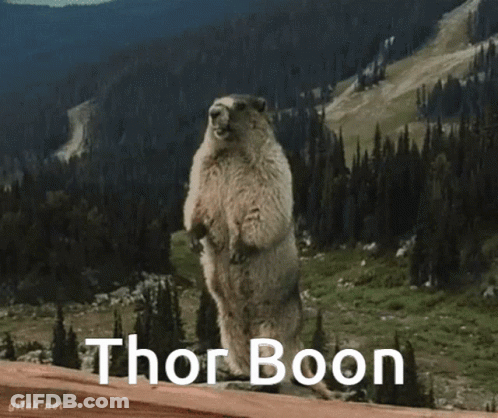 Groundhog Standing With Thor Boon Below GIF