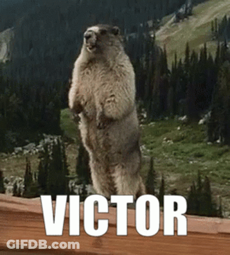 Groundhog Victor Standing GIF