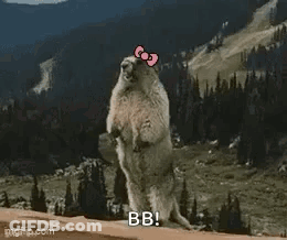 Groundhog With Hello Kitty Bow Standing On Hind Legs Near Mountain GIF