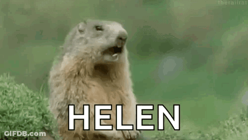 Groundhog With Mouth Open Sitting In Grass Saying Helen GIF