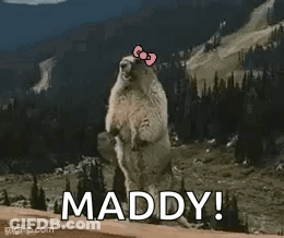 Groundhog With Pink Bow Standing And Saying Maddy GIF