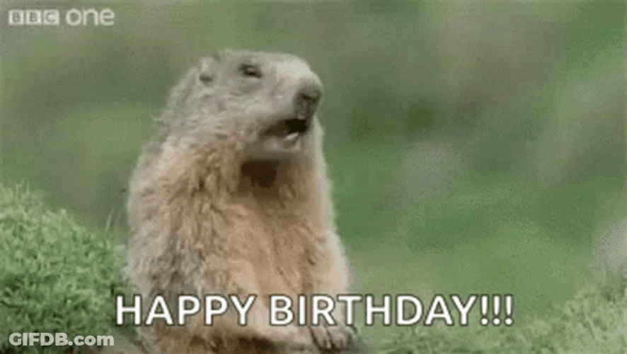 Groundhog GIF