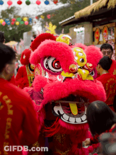 Group Around Lion Costume With Chinese Writing GIF