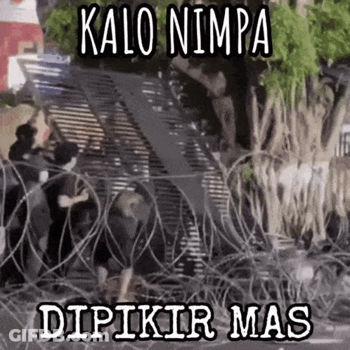Group Behind Barbed Wire Kalo Nimpa Dipikir Mas GIF