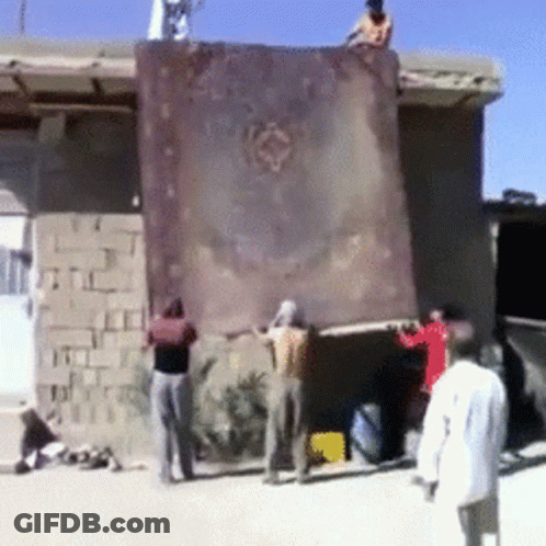 Group Carrying Large Rug GIF