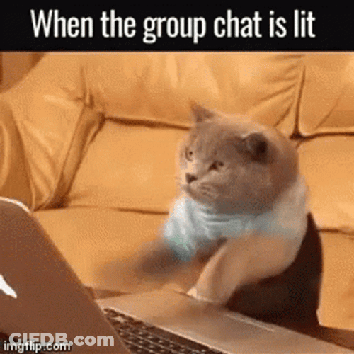 Group Chat Is Lit GIF