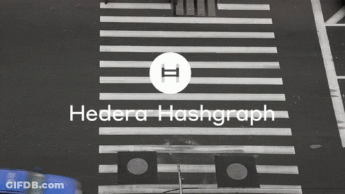 Group Crossing Street Hedera Hashgraph GIF
