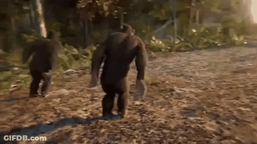 Group Dancing Monkey GIF