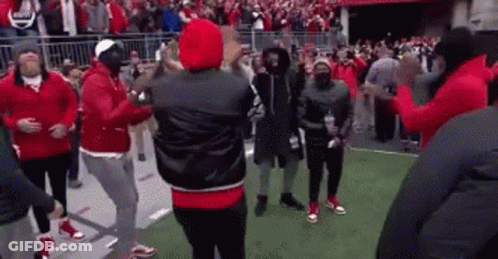 Group Dancing On Field With Crowd GIF