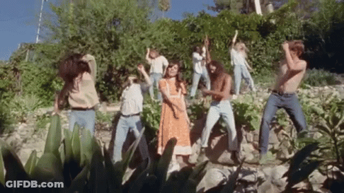Group Dancing On Rock Wall In Woods GIF