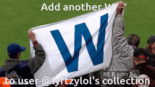 Group Holding Blue And White Flag GIF