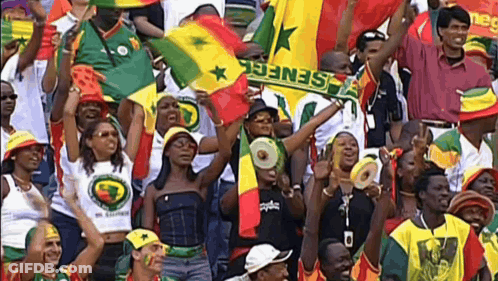 Group Holding Flags And Senegal Scarf GIF