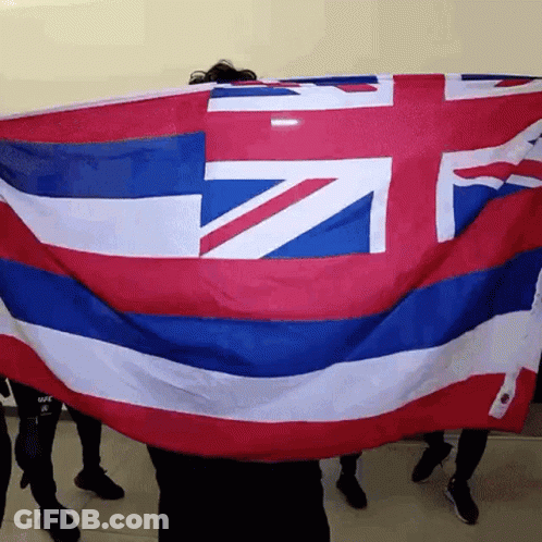 Group Holding Large Flag GIF