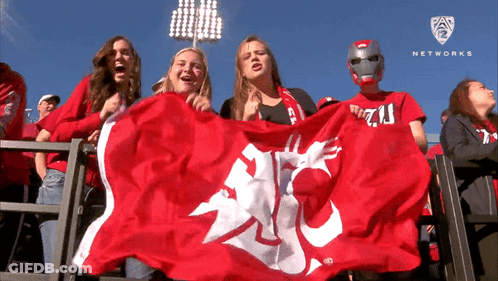 Group Holding Red Flag With Networks GIF