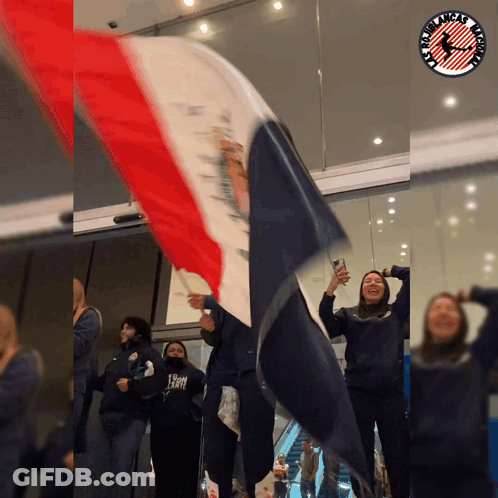 Group Holding Tigers Flag GIF