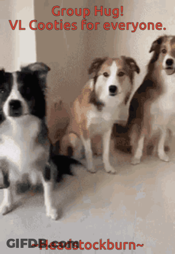 Group Hug Dogs Cooties For Everyone GIF