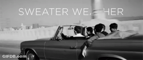 Group In Car Saying Sweater We Her GIF