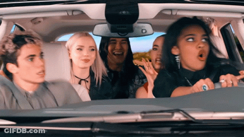 Group In Car With Rear View Mirror Showing D GIF