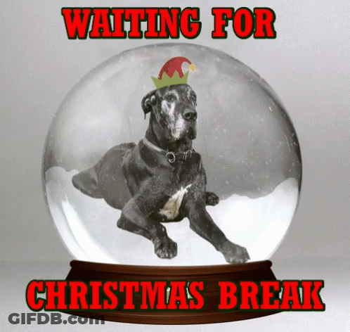 Group In Christmas Cubicle #Halfxmas GIF