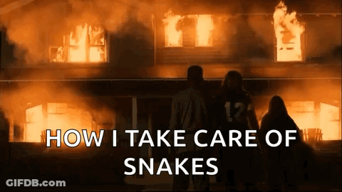 Group In Front Of Burning House GIF