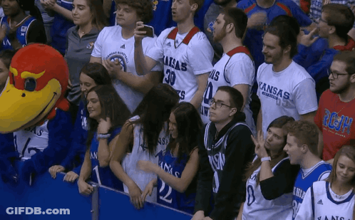 Group In Kansas Shirts Watching Game GIF