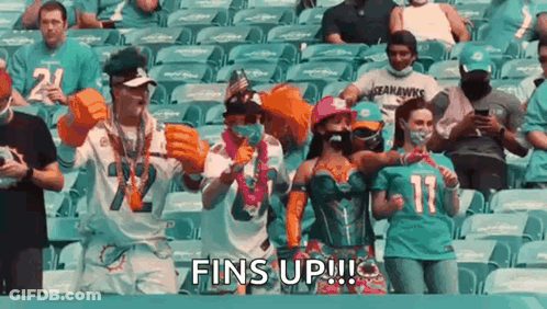 Group In Stadium Watching Football Game Woman In Costume GIF