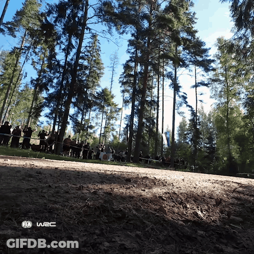 Group In Woods Near Fia W2c Sign GIF