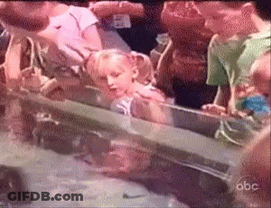 Group Looking At Fish Tank With ABC GIF