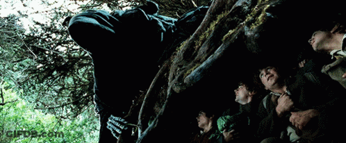 Group Looking Up At Tree Trunk GIF