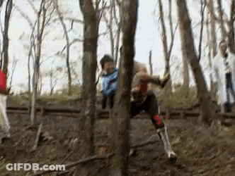 Group Member Jumping Through Tree In Woods GIF