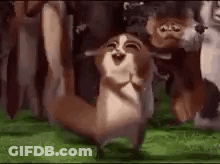 Group Of Animals Standing With Fox In Field GIF