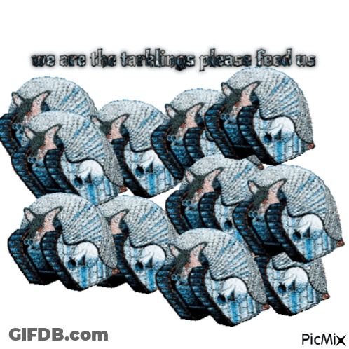 Group Of Armadillos We Are The Tarklings Please Feed Us GIF