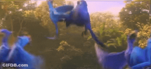 Group Of Blue Birds Flying GIF