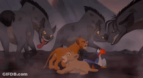 Group Of Cartoon Characters Lion And Bird GIF