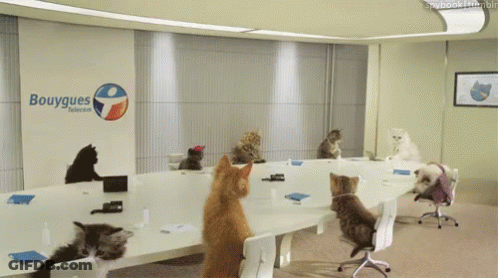 Group Of Cats Around Table With Bouygues Sign GIF