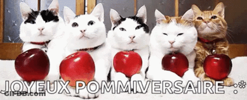Group Of Cats Holding Apples Joyeux Pommiversaire GIF