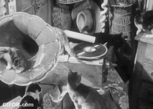 Group Of Cats Sitting Around Record Player GIF