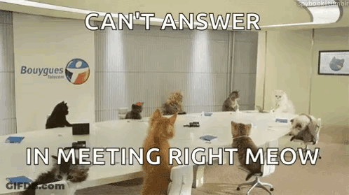 Group Of Cats Sitting Around Table Can't Answer In Meeting Right Meow GIF