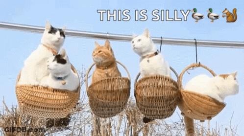 Group Of Cats Sitting In Baskets GIF
