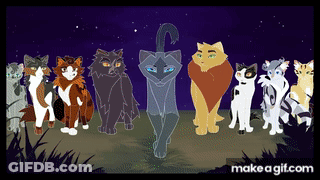Group Of Cats Standing Together GIF