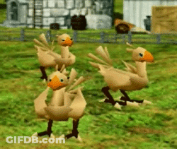 Group Of Chickens Standing In Field GIF