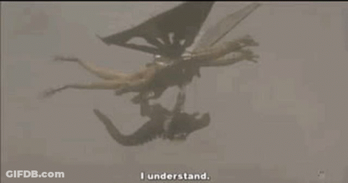 Group Of Dragons Flying Over Person GIF