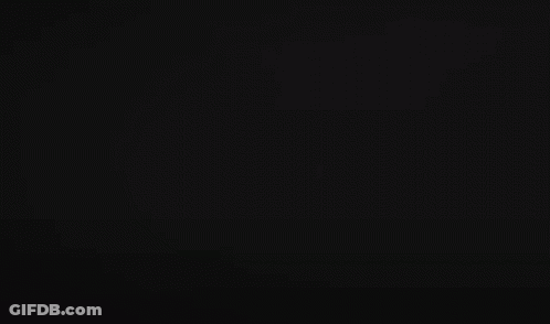 Group Of Ducks Walking In Grass GIF