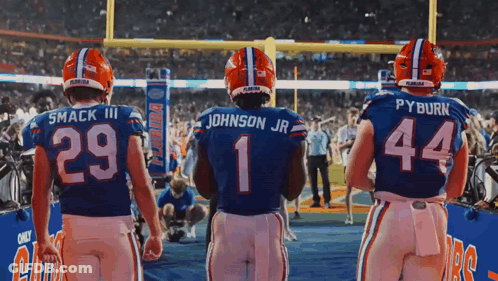 Group Of Football Players Including Johnson Jr GIF